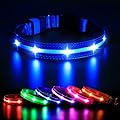 Bright and Convenient Light-Up Dog Collars