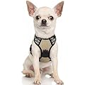 Review: rabbitgoo Dog Harness - Strong, Sturdy, and Easy to Use