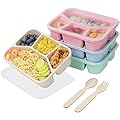Review of Lunch Boxes for Kids and Adults