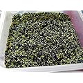 High Quality Butterfly Pea Flowers from Thailand